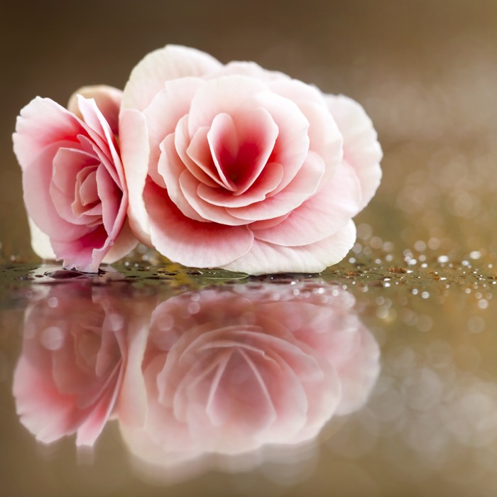 Photo de Claudine BOUDON